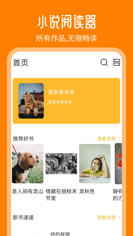 天天追书免费小说安卓版阅读界面