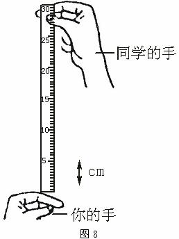 直尺测量读数方法与按尺手势示意 直尺测量