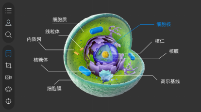 妙懂生物安卓版 3D模型界面截图