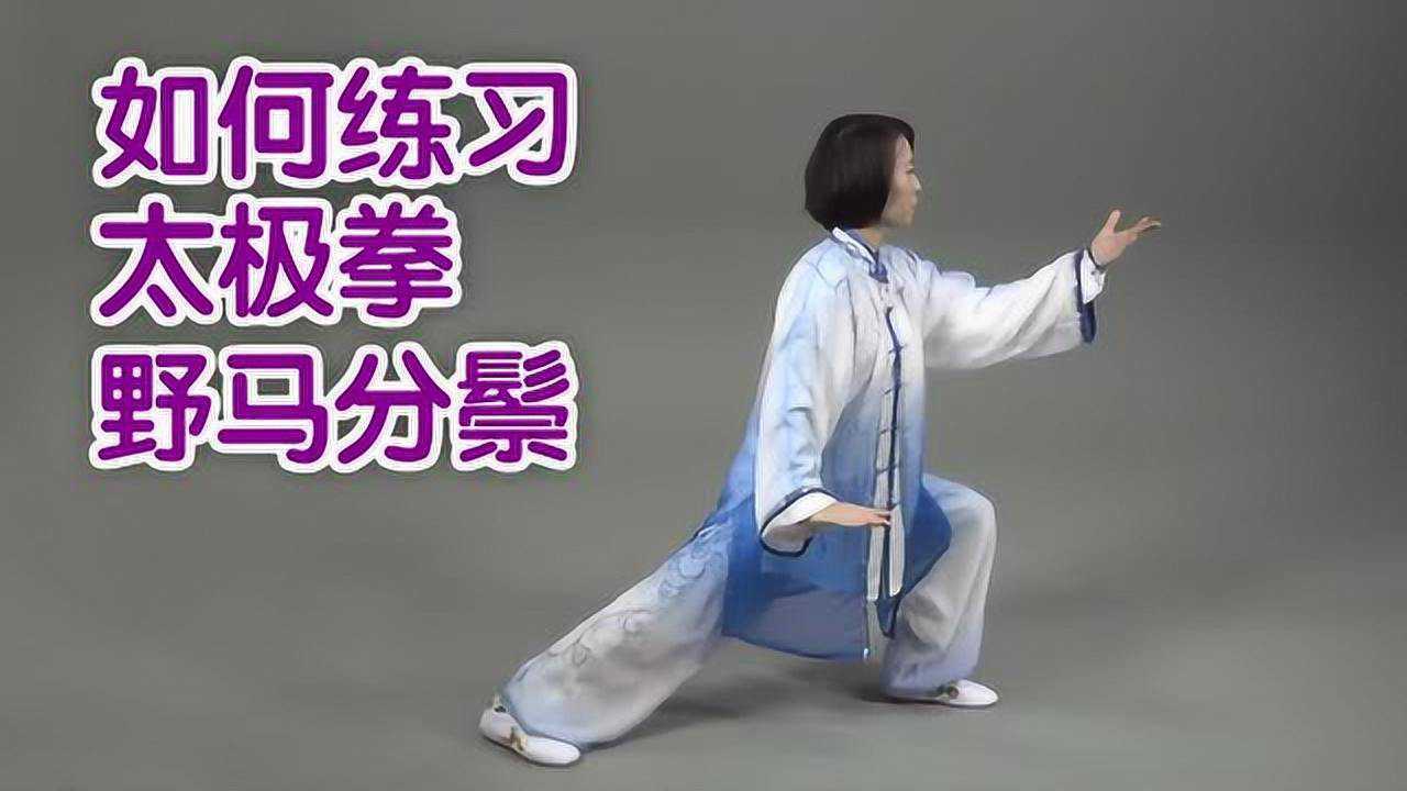 太极普通版云手野马分鬃动作示范