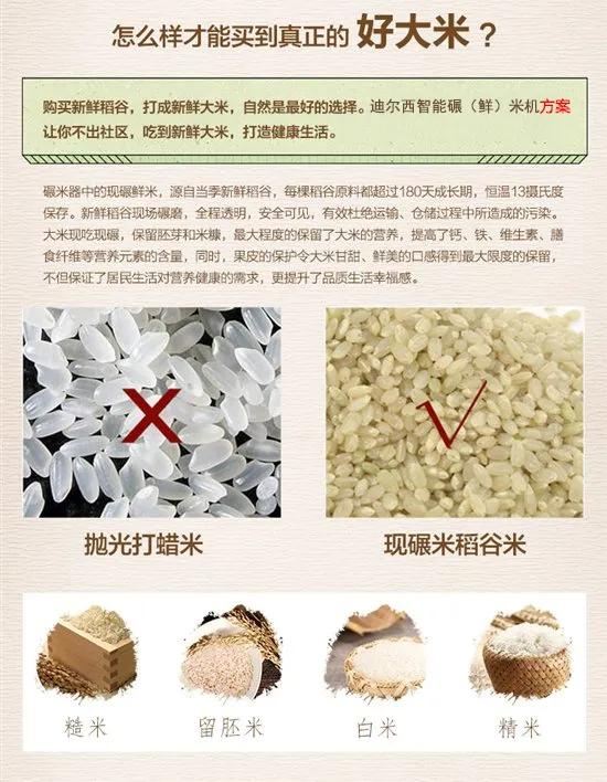 大米看家 日常维护与省心使用技巧