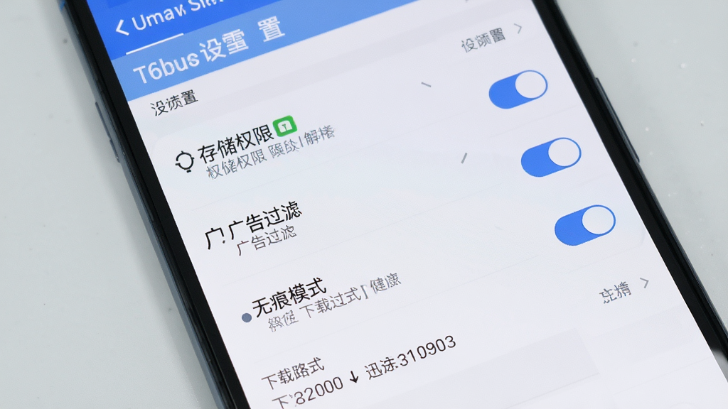 主体为手机屏幕展示迅雷浏览器设置界面,画面中包含存储权限、广告过滤、无痕模式等选项;布局为手机正面特写,背景为浅灰色;排版整齐,选项文字清晰;风格为简约实用风;细节包含蓝色开关按钮、设置列表、下载路径显示;画质高清,干净,无多余元素
