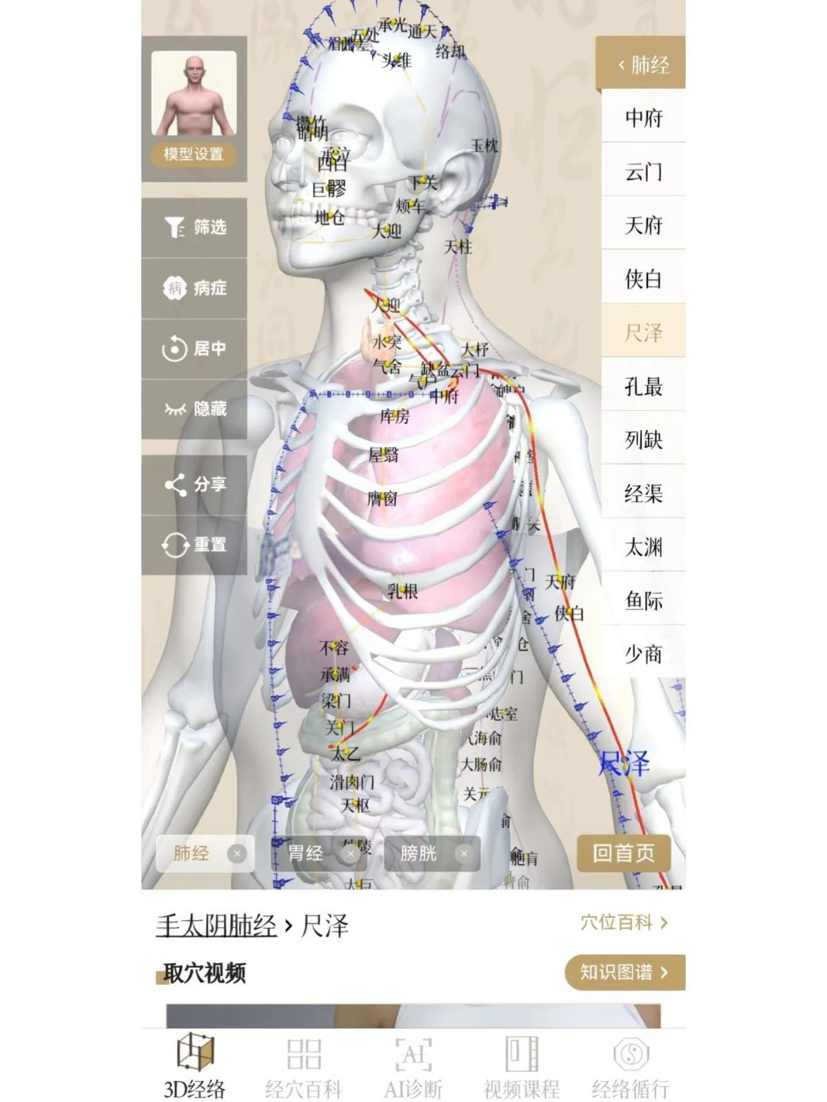 灵枢医学 安卓版 经络穴位界面截图