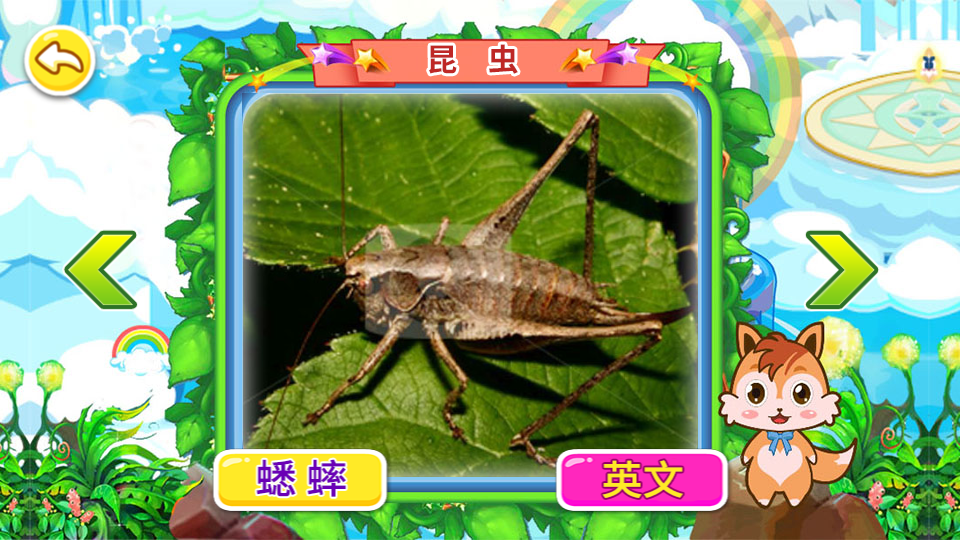 儿童动物世界 安卓版 使用教程