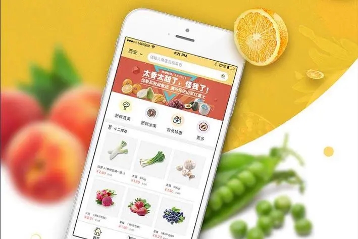 果蔬好阳光之日 安卓版 手机购物界面截图