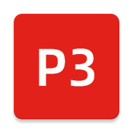 P31.3.9 ���Ʋ�ѯ����