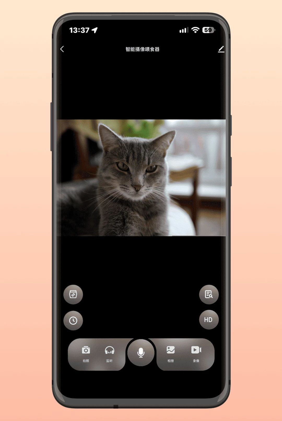 Molly&Cody Smart1.2.0 ���ܴ�������