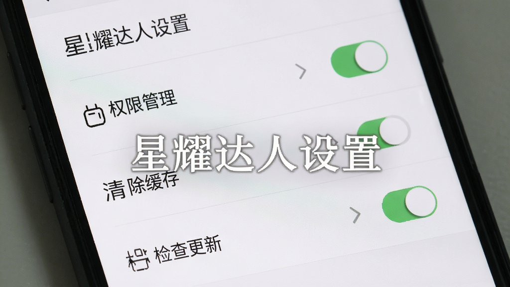 手机屏幕显示星耀达人设置页面,包含权限管理、清除缓存、检查更新等选项,布局为纵向列表,风格为极简工具风,细节包括开关按钮和箭头图标,画质高清,干净,无多余元素,画面中打文字“星耀达人设置”
