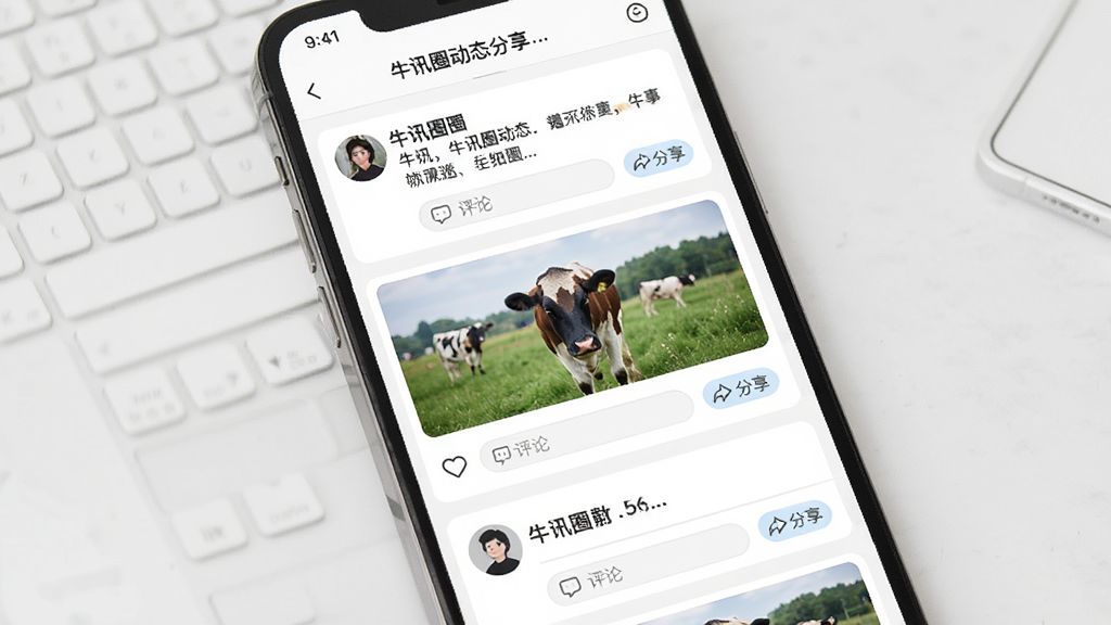 牛讯圈动态分享页面,主体为手机屏幕中的动态信息流,布局为纵向滚动卡片列表,排版每张卡片包含头像、文字、图片和互动按钮,风格为清爽素雅风格,细节包括点赞图标、评论输入框、分享按钮,画质高清,干净,无多余元素