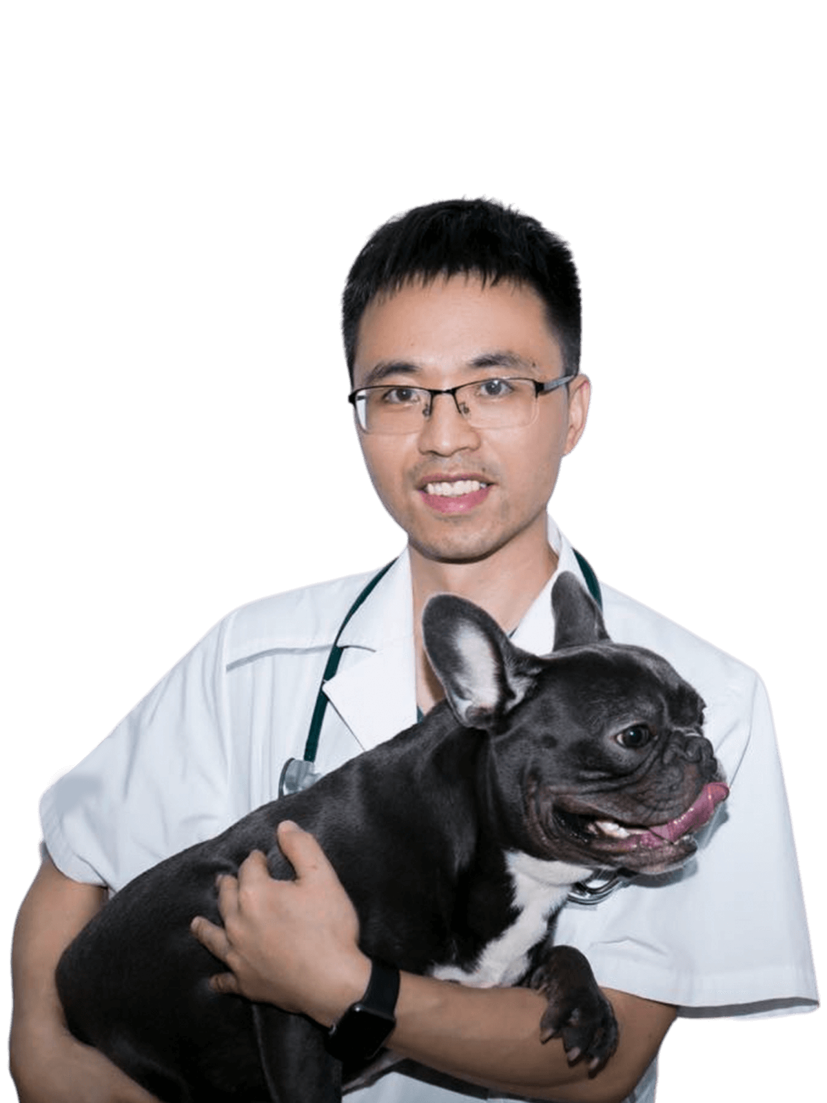 兽课网学员在养殖场和诊所应用兽医课程知识