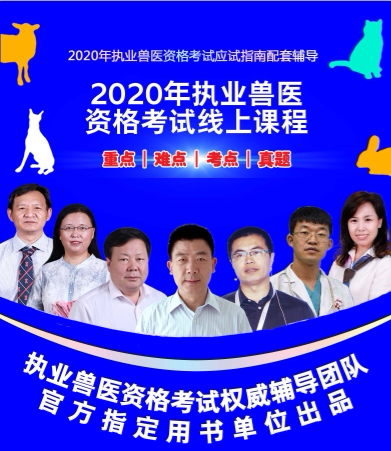 兽课网在线学习课程推荐与备考攻略封面图