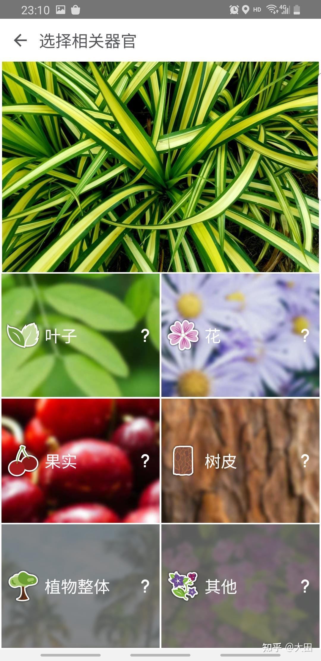 地林林 安卓版 植物识别界面截图