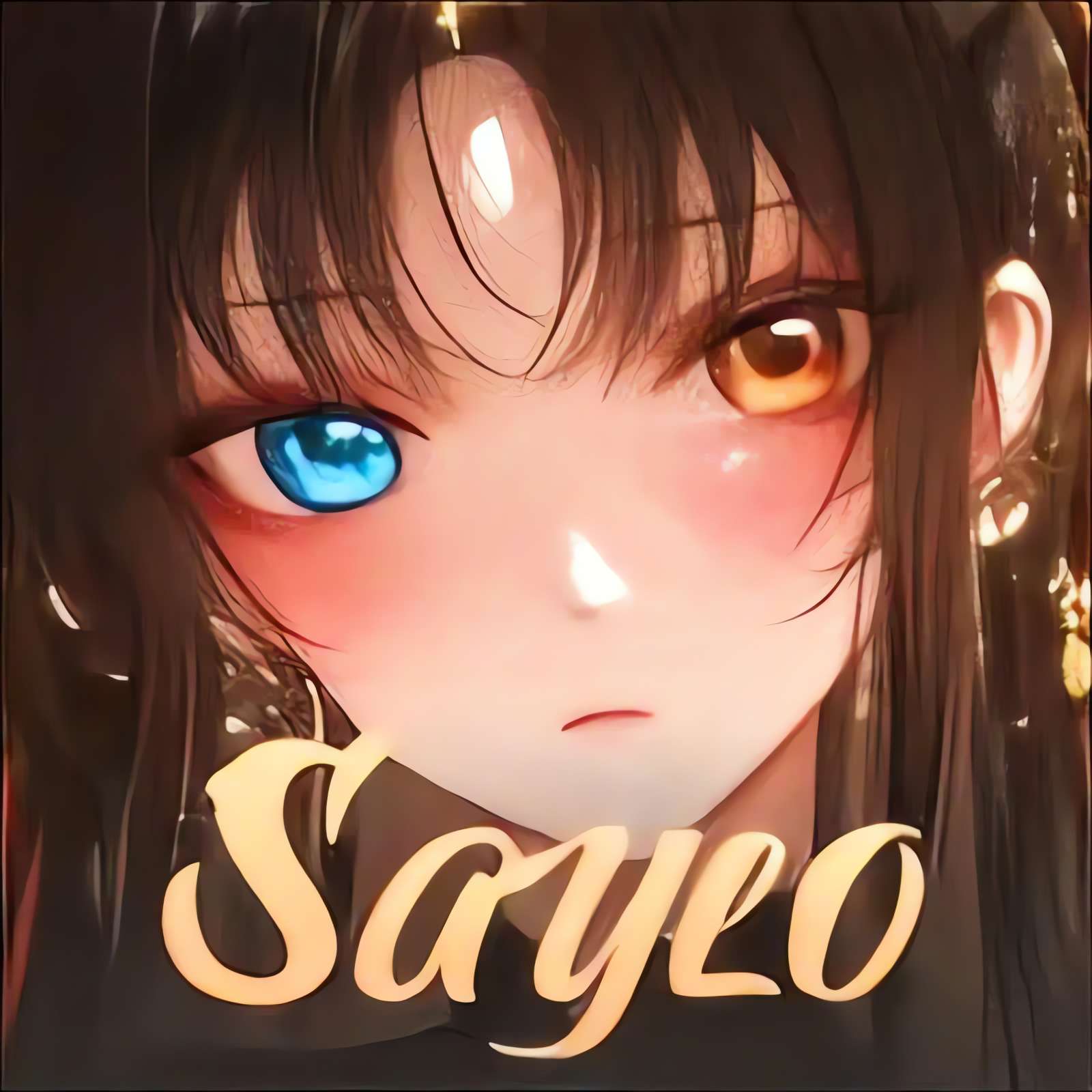Saylo1.20.2 ����ͨѶ