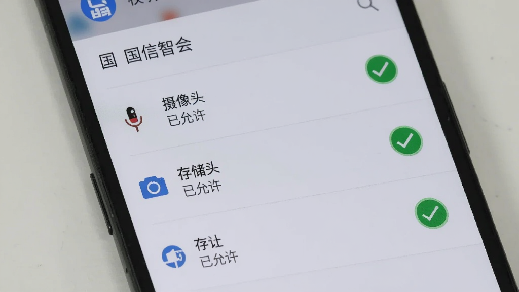 一部安卓手机展示国信智会的权限设置页面,页面中麦克风、摄像头、存储三项权限均显示为“已允许”,背景为浅灰色系统设置界面,风格简洁明了,画质清晰,无多余装饰。