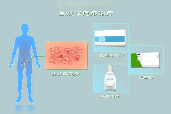 生殖器疱疹抗病毒治疗用药 (Genit) 配图