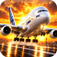 Flight Simulator World(����ģ������)1.0 ��ʵ����ģ��