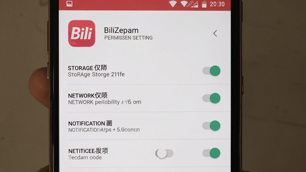 BiliZepam安装设置界面截图,主体为手机屏幕显示BiliZepam的权限设置页面,布局为顶部应用图标加下方权限开关列表,排版整齐清晰,风格为安卓原生设置风格,细节包括存储权限、网络权限、通知权限等选项,画质高清干净无多余元素