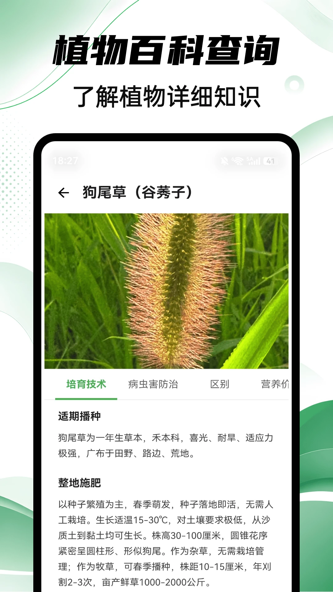 Aeluɭ��1.0.5 ����ʽɭ��̽��