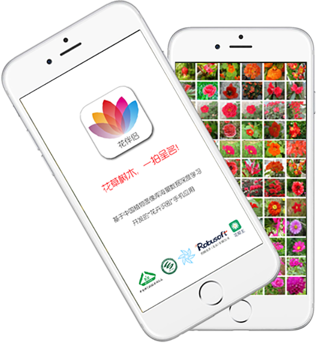 花禄 安卓版 植物识别界面截图