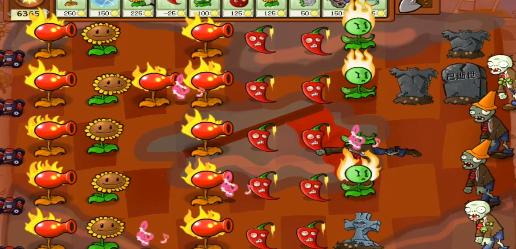 植物大战僵尸火焰版本(PVZTV火焰版)前期开局向日葵火焰豌豆布局