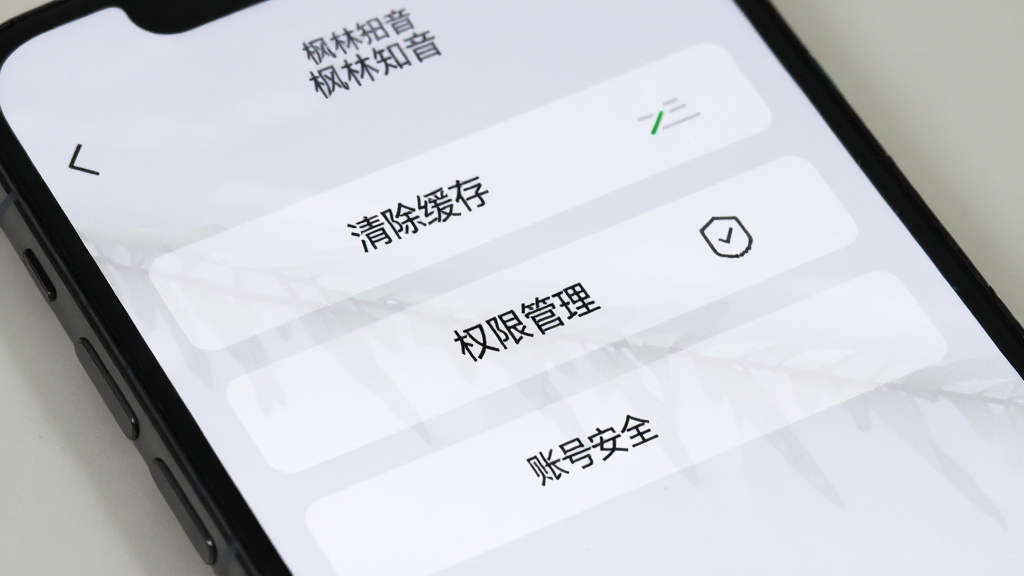 手机屏幕显示
