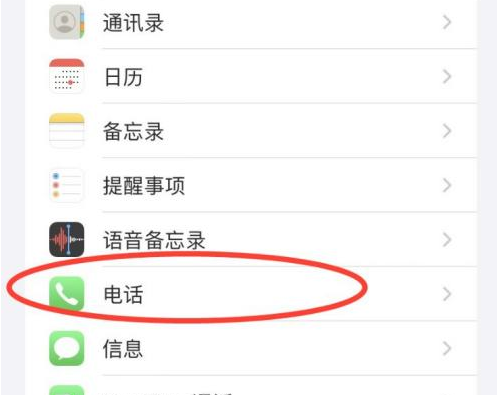 苹果iPhone全屏来电显示设置 电话设置界面配图